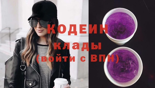 хмурый Аркадак