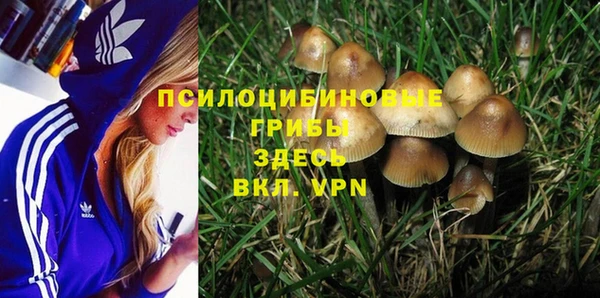 гашик Армянск