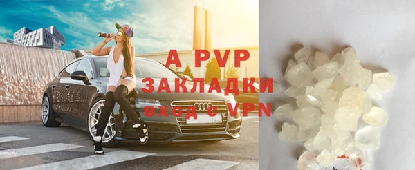 хмурый Аркадак