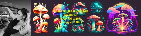 гашик Армянск