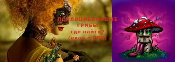 хмурый Аркадак