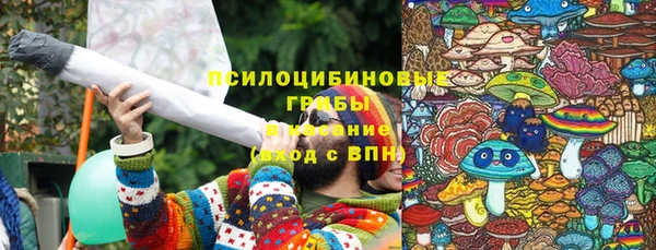 гашик Арсеньев