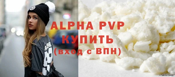 гашик Арсеньев