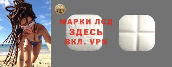 хмурый Аркадак