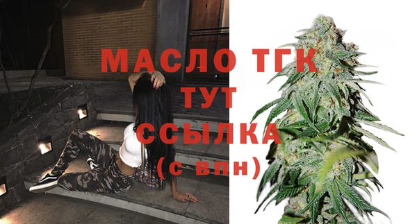 гашик Арсеньев