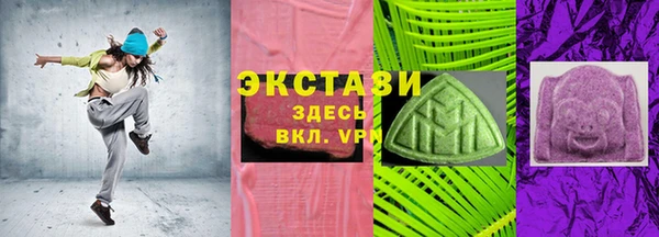 хмурый Аркадак