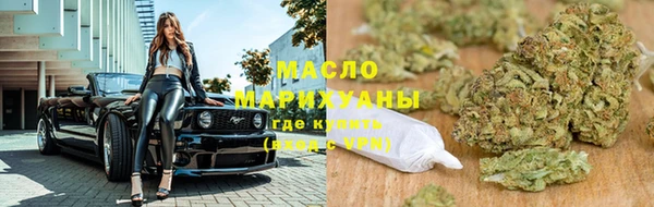 хмурый Аркадак