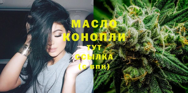 гашик Арсеньев
