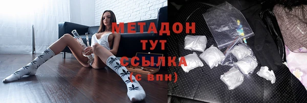 хмурый Аркадак